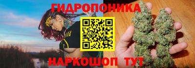 соль ск Ипатово