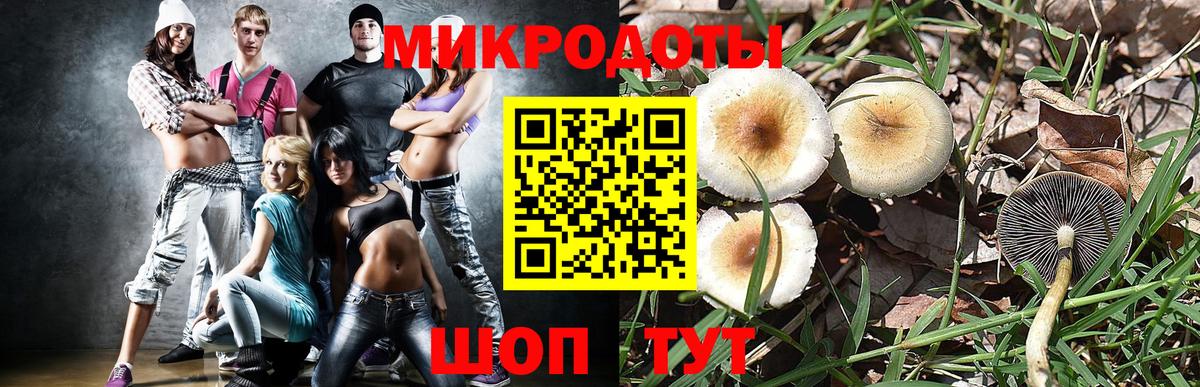 Псилоцибиновые грибы мухоморы  сколько стоит  Кузнецк  Вход с VPN  Галлюциногенные грибы Cubensis 
